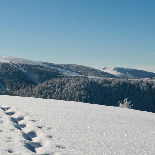 Mes essentiels de l’hiver