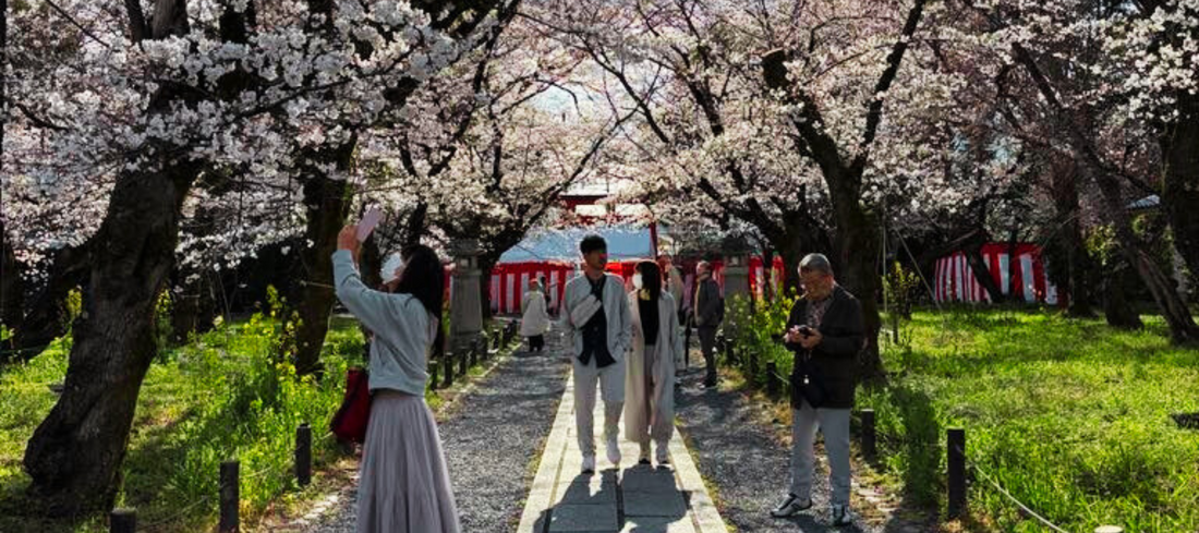 Deux semaines au Japon : Journal de voyage – 6 moments-clés.