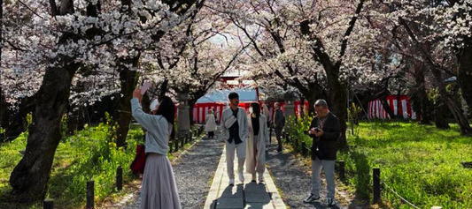 Deux semaines au Japon : Journal de voyage – 6 moments-clés.