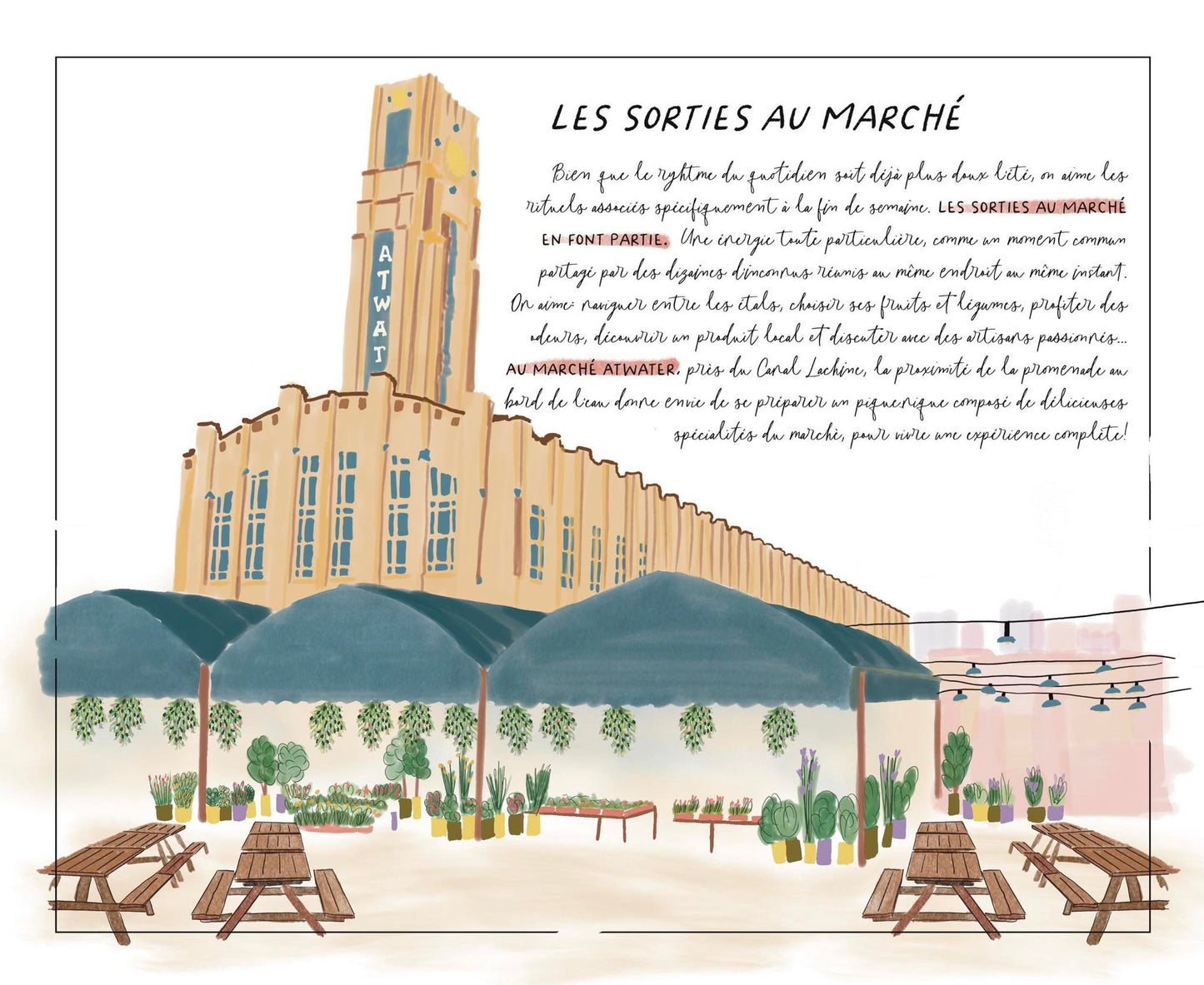 Un été à Montréal – Livre illustré pour enfants