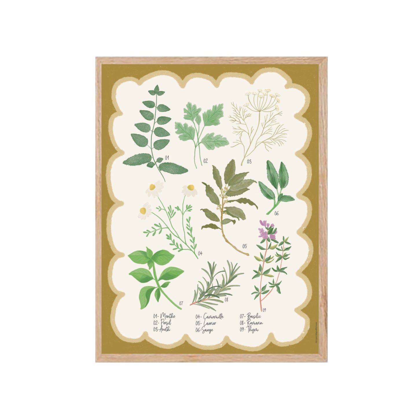 Illustrated botanical herbarium wall print featuring various plants and herbs