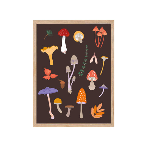 Champignons - Affiche Murale