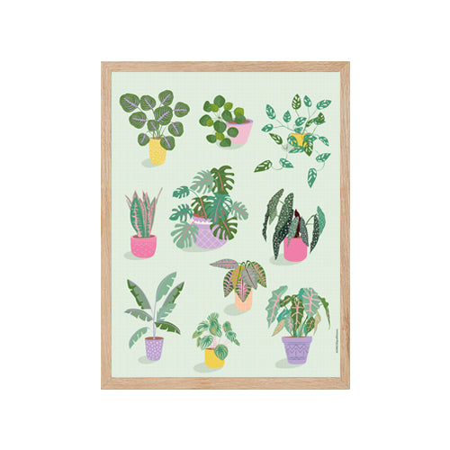 Plantes - Affiche Murale