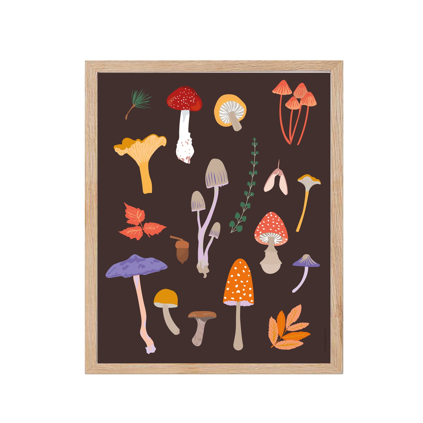 Champignons - Affiche Murale