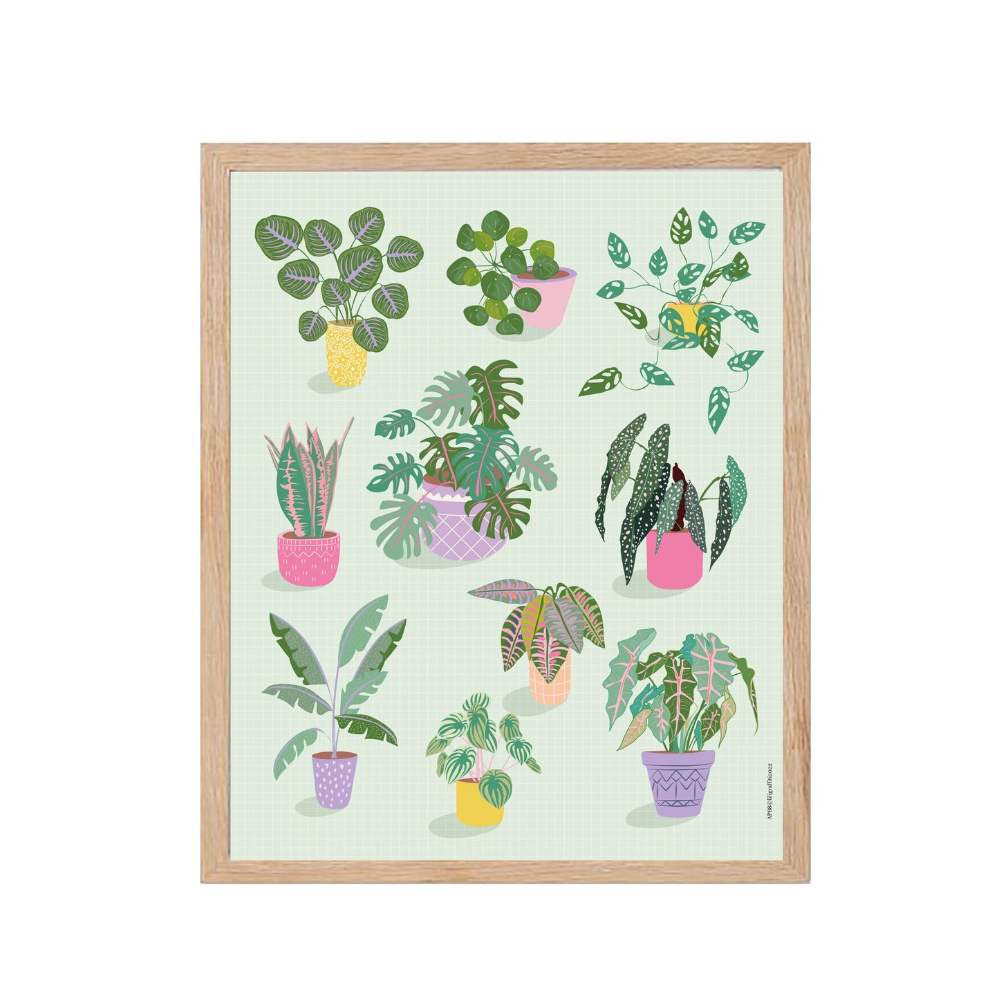 Plantes - Affiche Murale