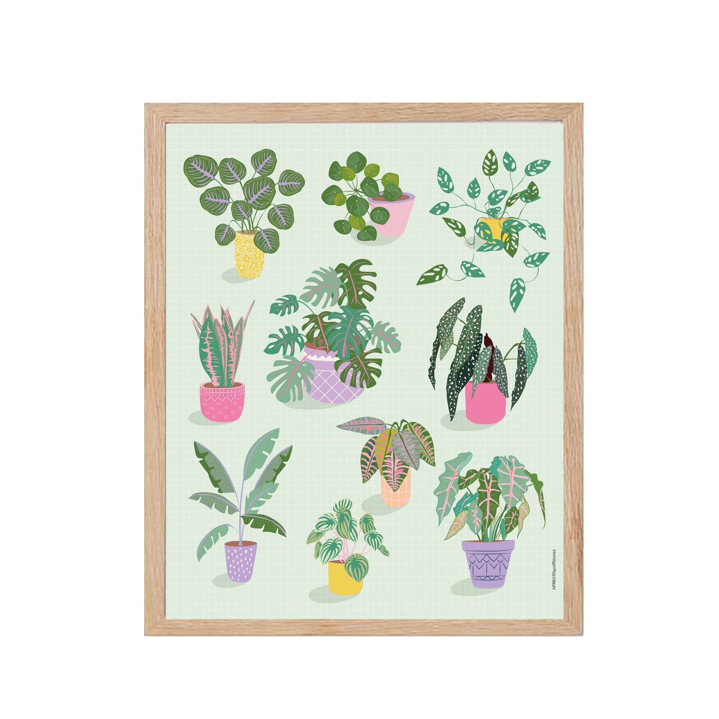 Plantes