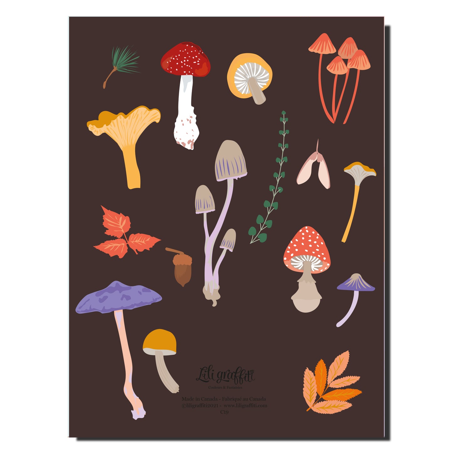 Cahier illustré - Champignons