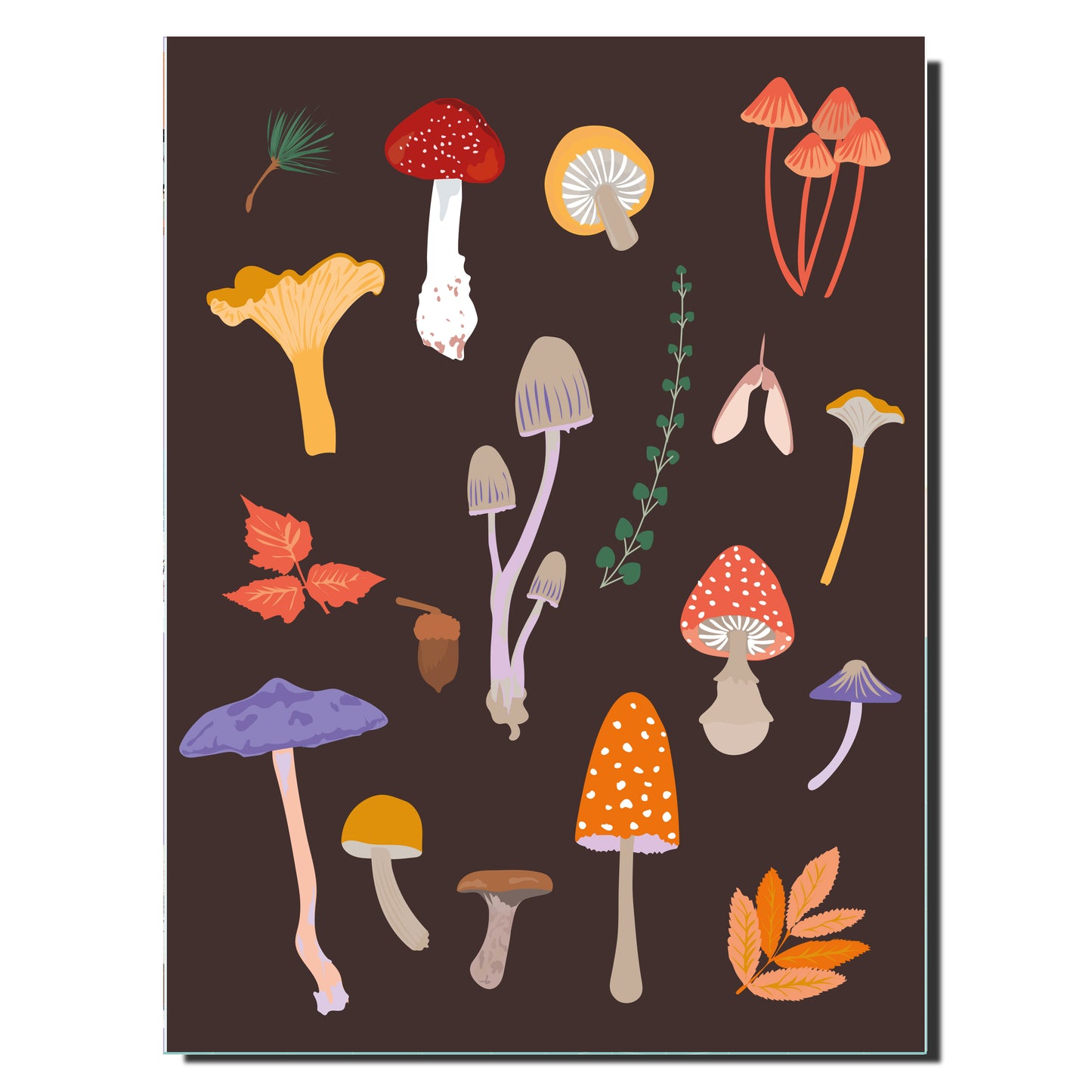 Cahier illustré - Champignons