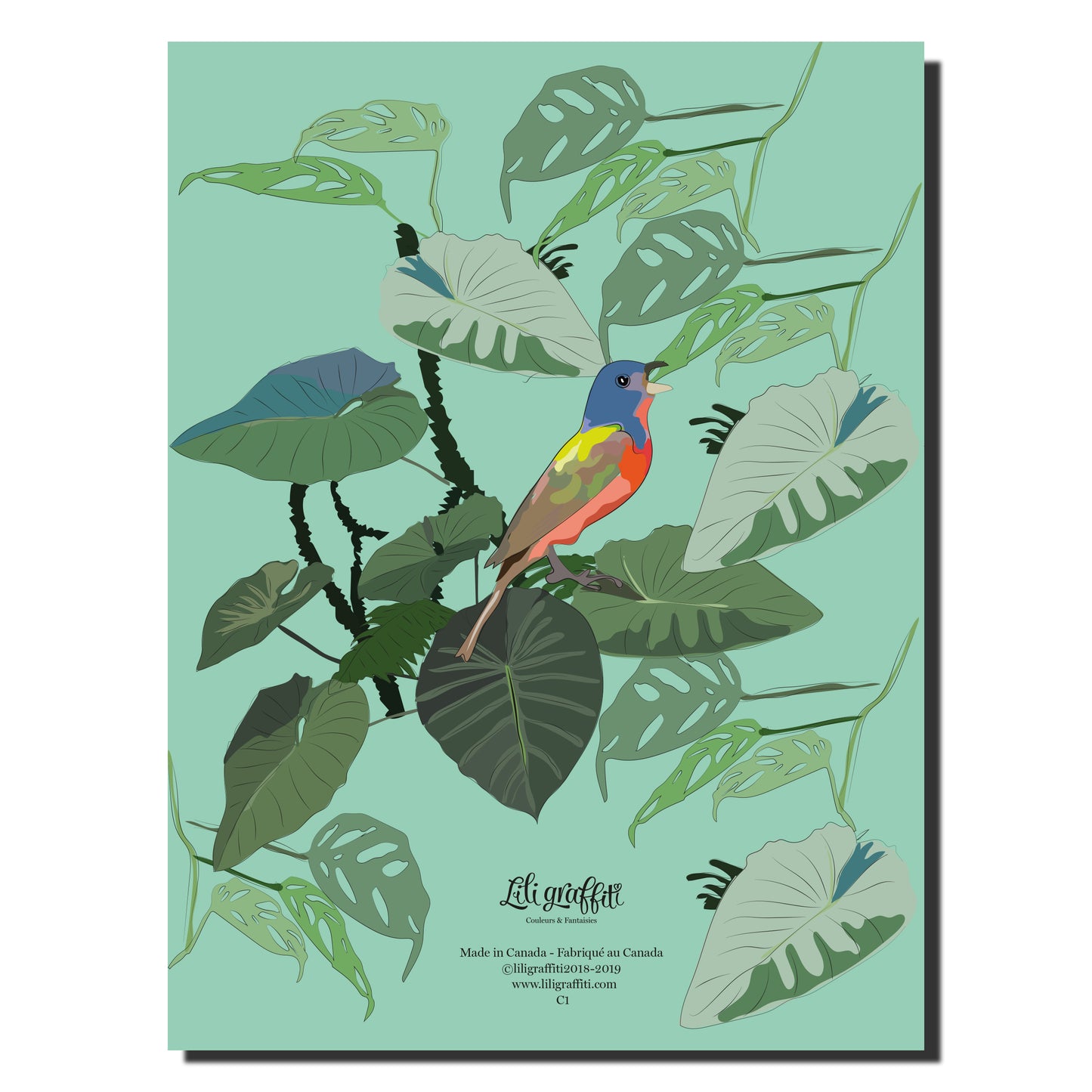 Cahier illustré - Oiseaux