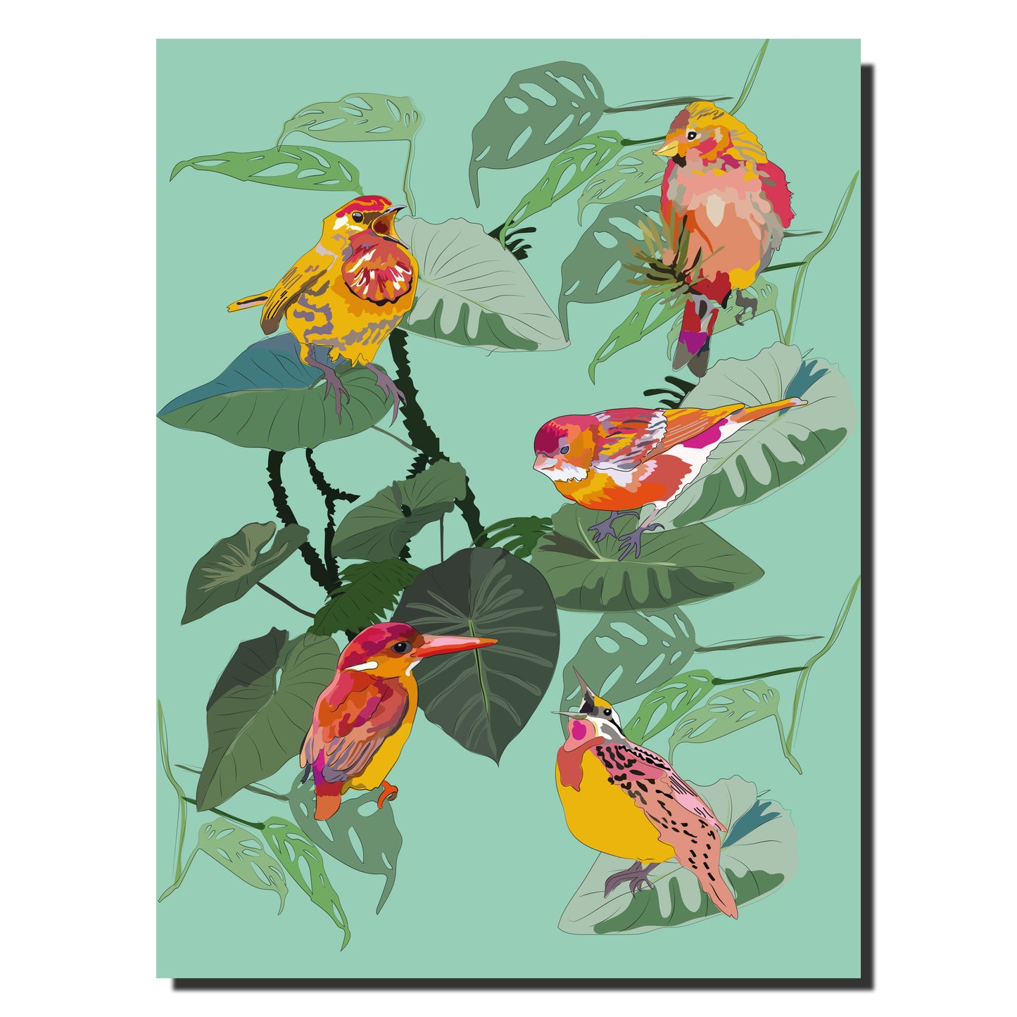 Cahier illustré - Oiseaux
