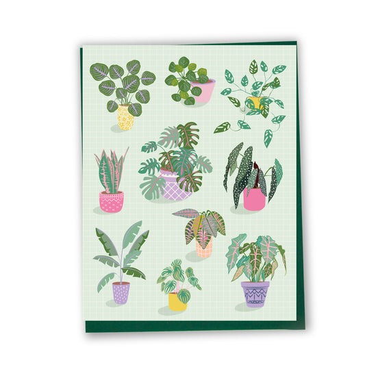 Plantes