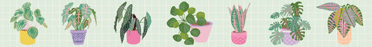 Washi Tape - Plantes