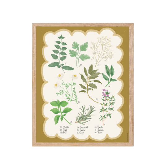 Affiche murale illustrée représentant des plantes et herbes au style herbier botanique