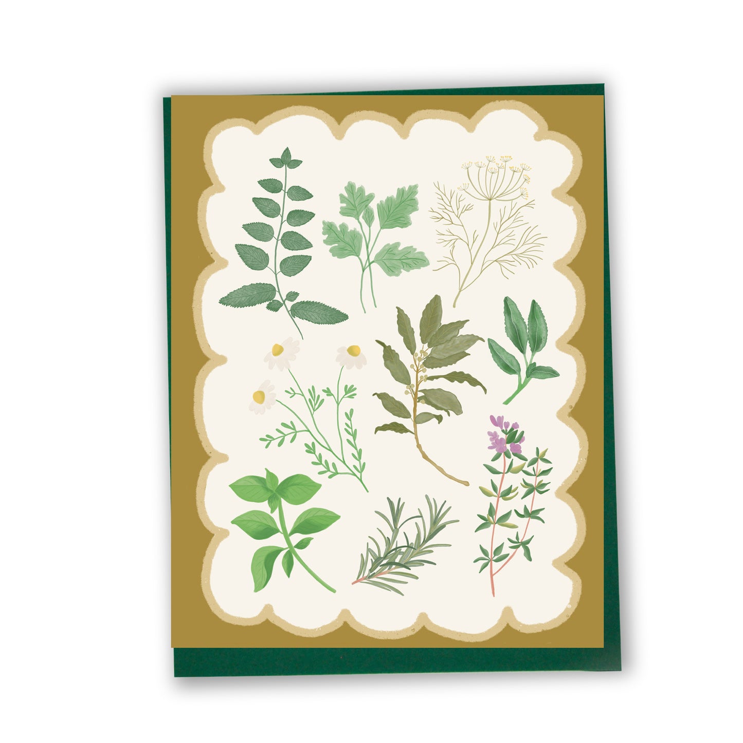 Carte de remerciement illustrée au style botanique, créée par une illustratrice montréalaise