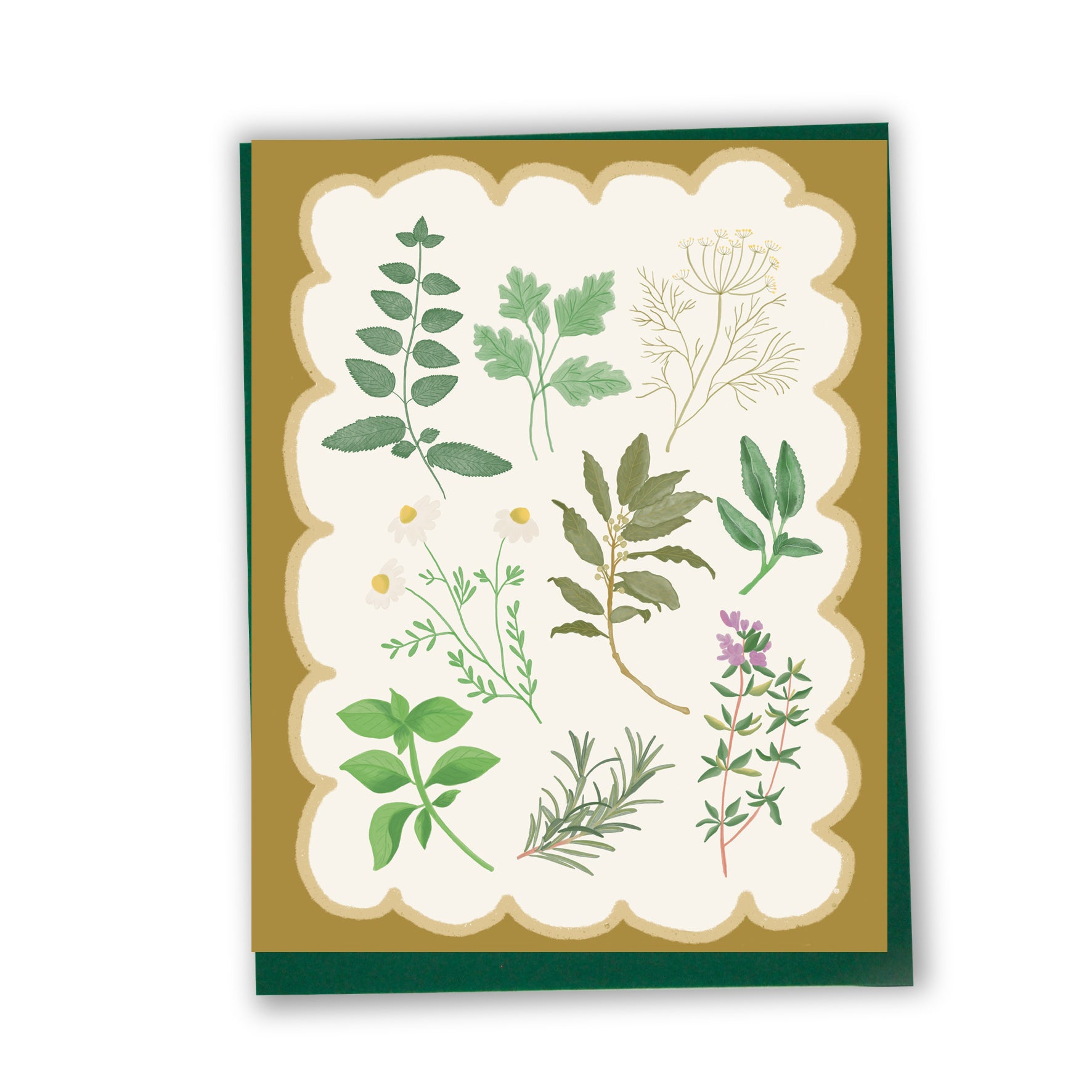 Carte de remerciement illustrée au style botanique, créée par une illustratrice montréalaise